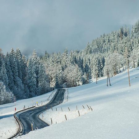 Ferienbauernhof Elmaugut Villa Mühlbach am Hochkönig Eksteriør bilde