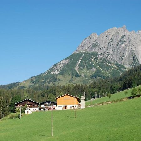 Ferienbauernhof Elmaugut Villa Mühlbach am Hochkönig Eksteriør bilde