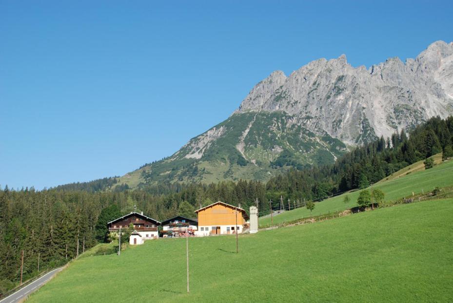 Ferienbauernhof Elmaugut Villa Mühlbach am Hochkönig Eksteriør bilde